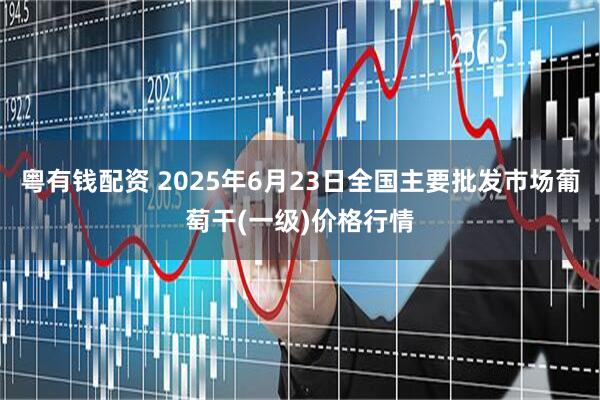 粤有钱配资 2025年6月23日全国主要批发市场葡萄干(一级)价格行情