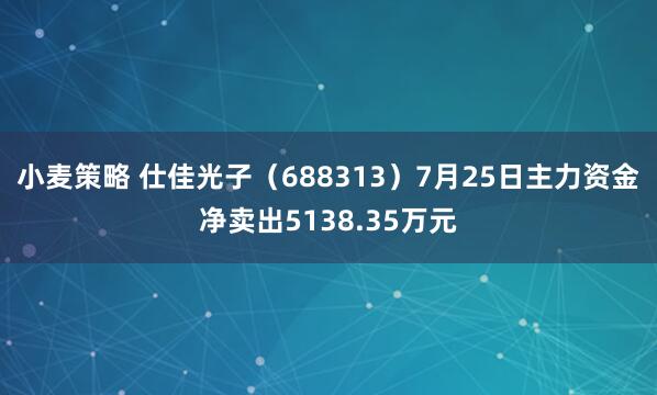 小麦策略 仕佳光子（688313）7月25日主力资金净卖出5138.35万元