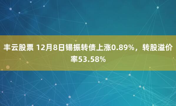丰云股票 12月8日锡振转债上涨0.89%，转股溢价率53.58%