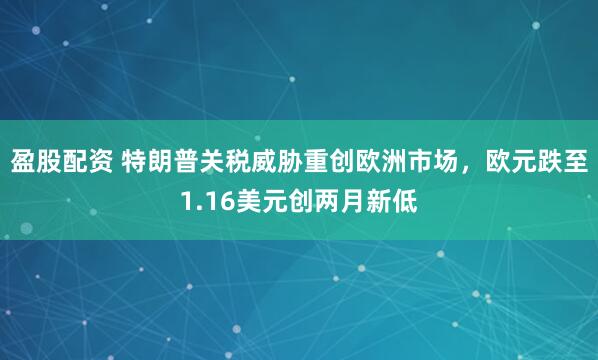 盈股配资 特朗普关税威胁重创欧洲市场，欧元跌至1.16美元创两月新低